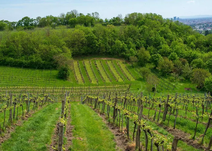 Herrlicher Ausblick Ueber