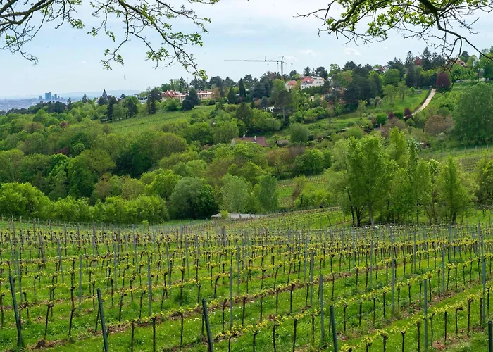 Herrlicher Ausblick Ueber