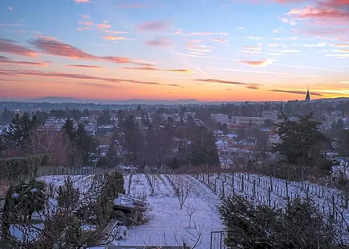 Herrlicher Ausblick Ueber Vienna