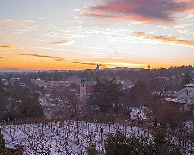 Herrlicher Ausblick Ueber * Vienna